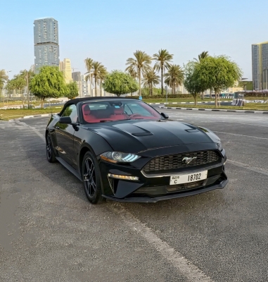 Rent Ford Mustang Cabrio 2021