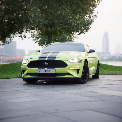 Rent Ford Mustang EcoBoost 2021