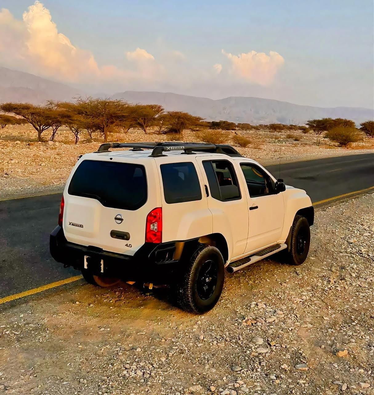 白色的 日产 Xterra S 2010