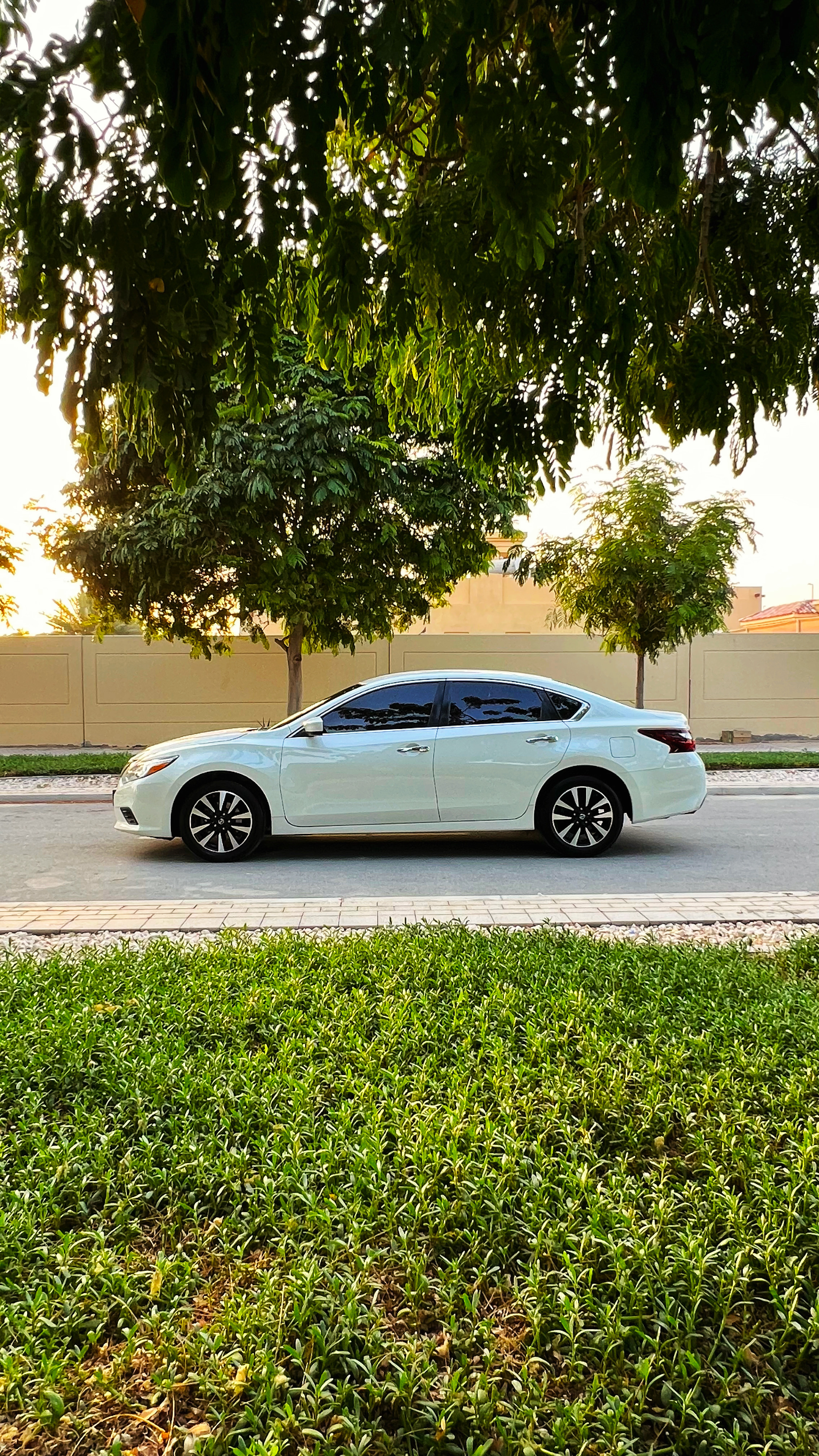 Bianca Nissan Altima 2.5 SV 2018