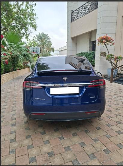 Blau Tesla Model X 100D 2019