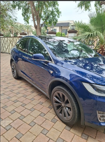 Blau Tesla Model X 100D 2019