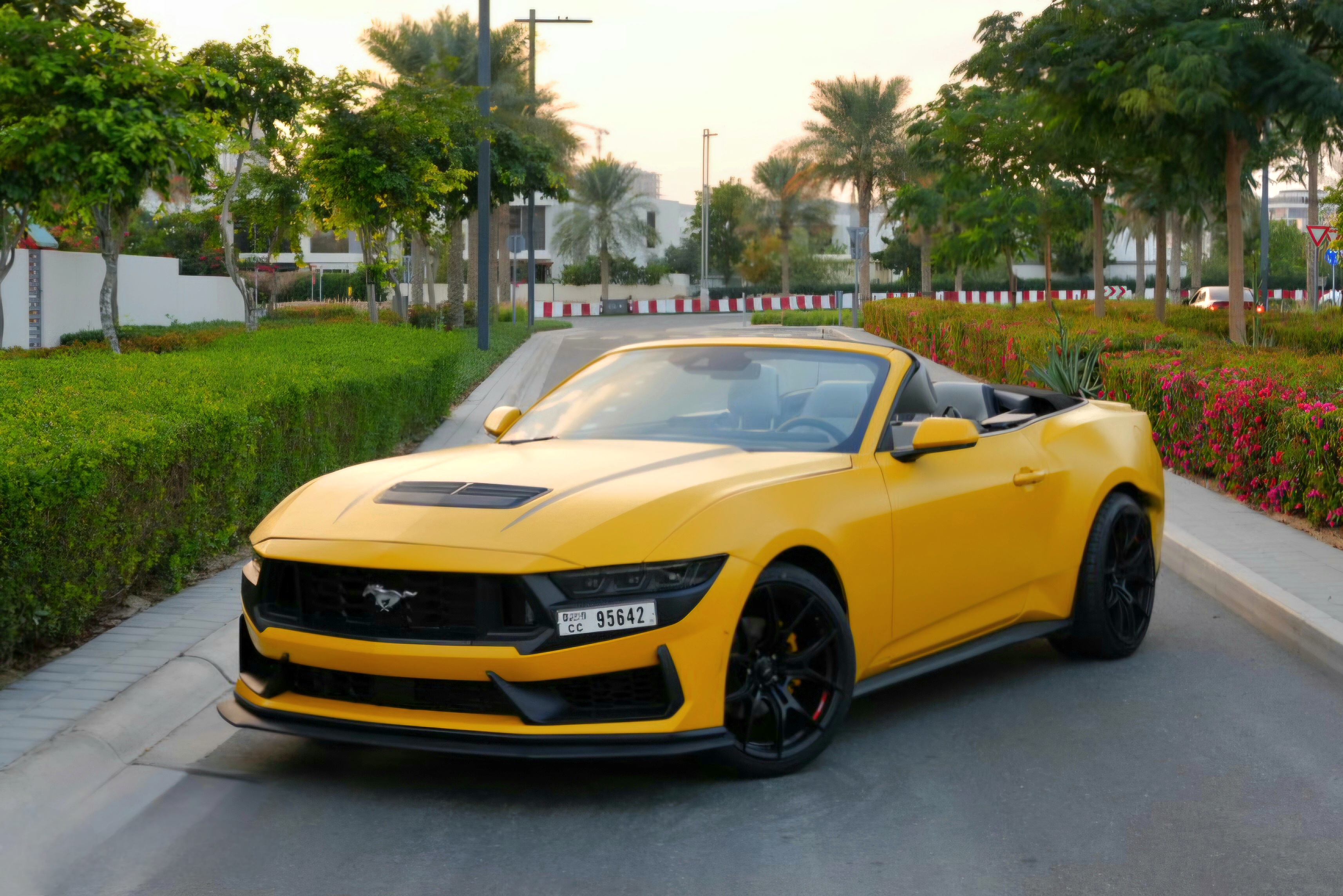 Yellow Ford Mustang Ecoboost Convertible 2024 Yellow Ford Mustang Ecoboost Convertible 2024