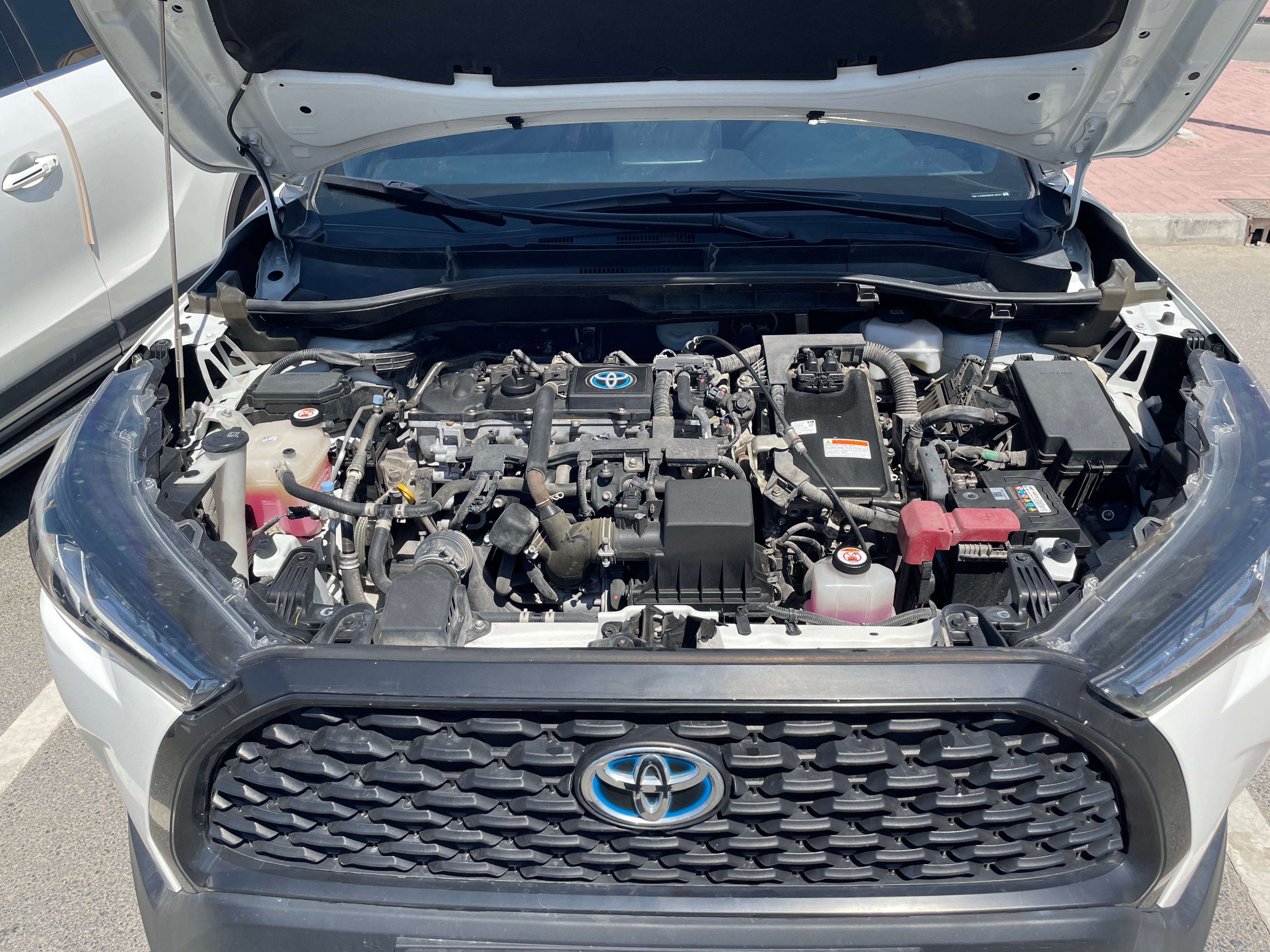 أبيض تويوتا Corolla Cross XL 2024