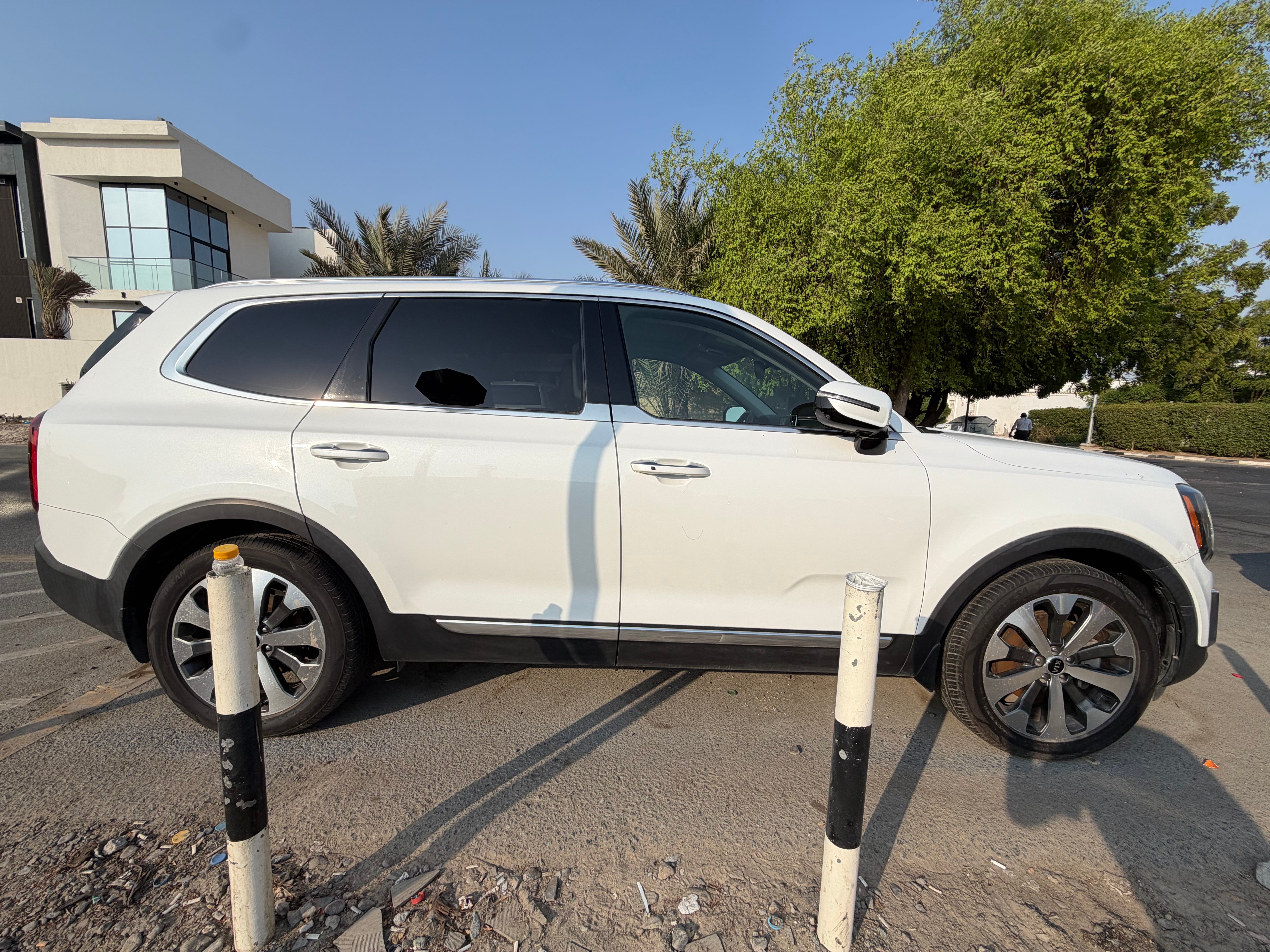 白色的 起亚 Telluride EX 2020