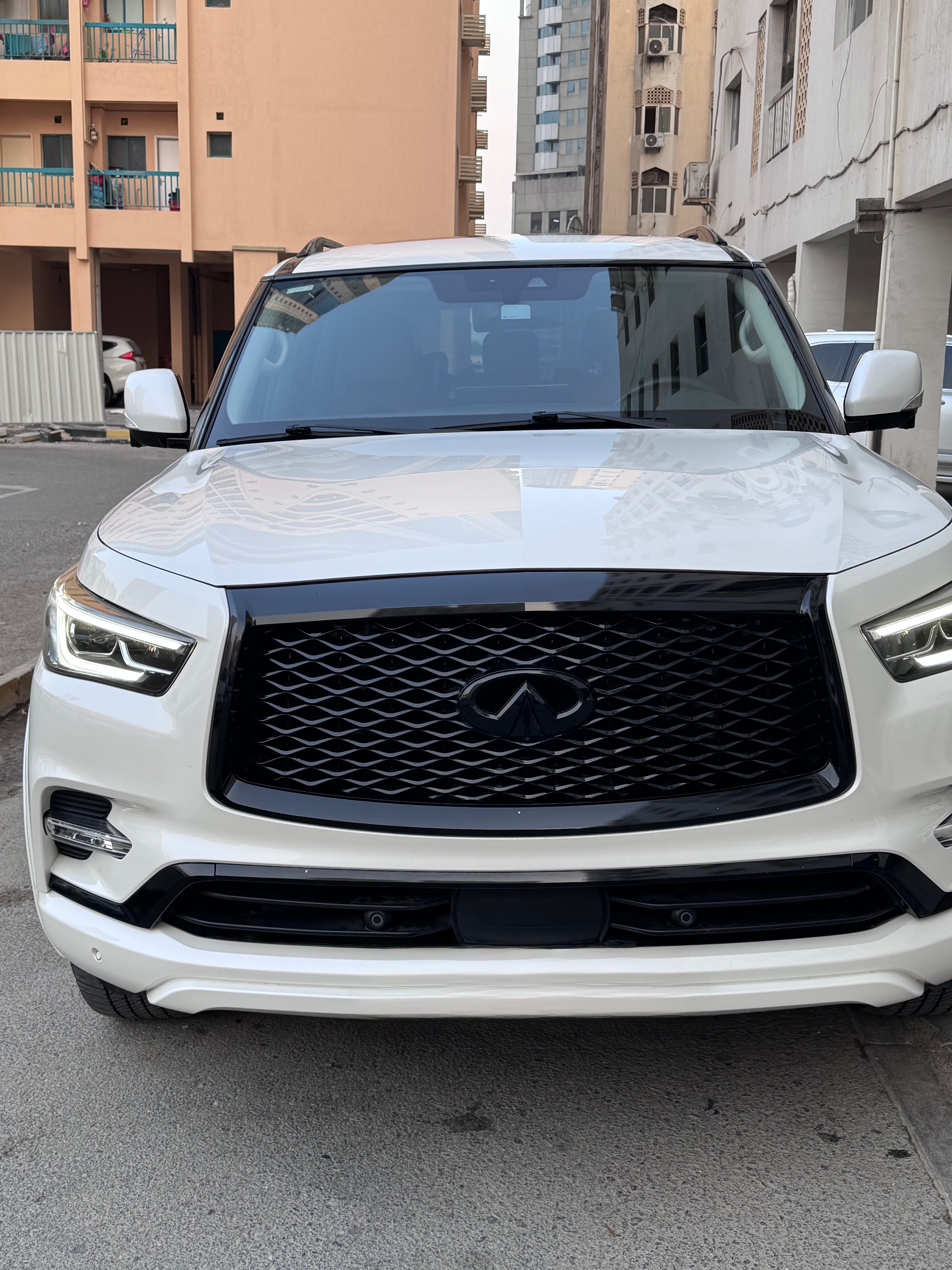 白色的 英菲尼迪 QX80 Black Edition 2023