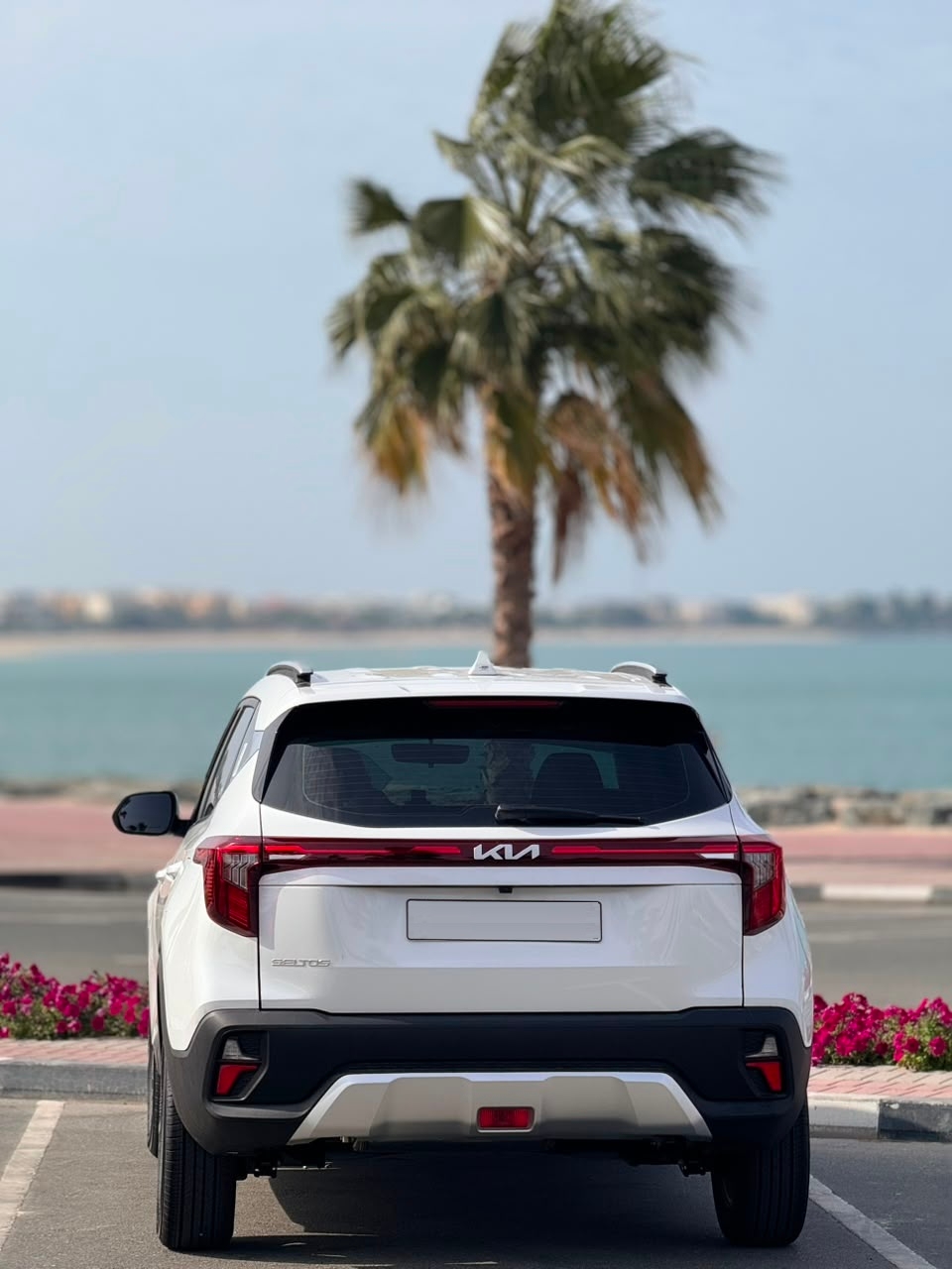 White Kia Seltos S 2024
