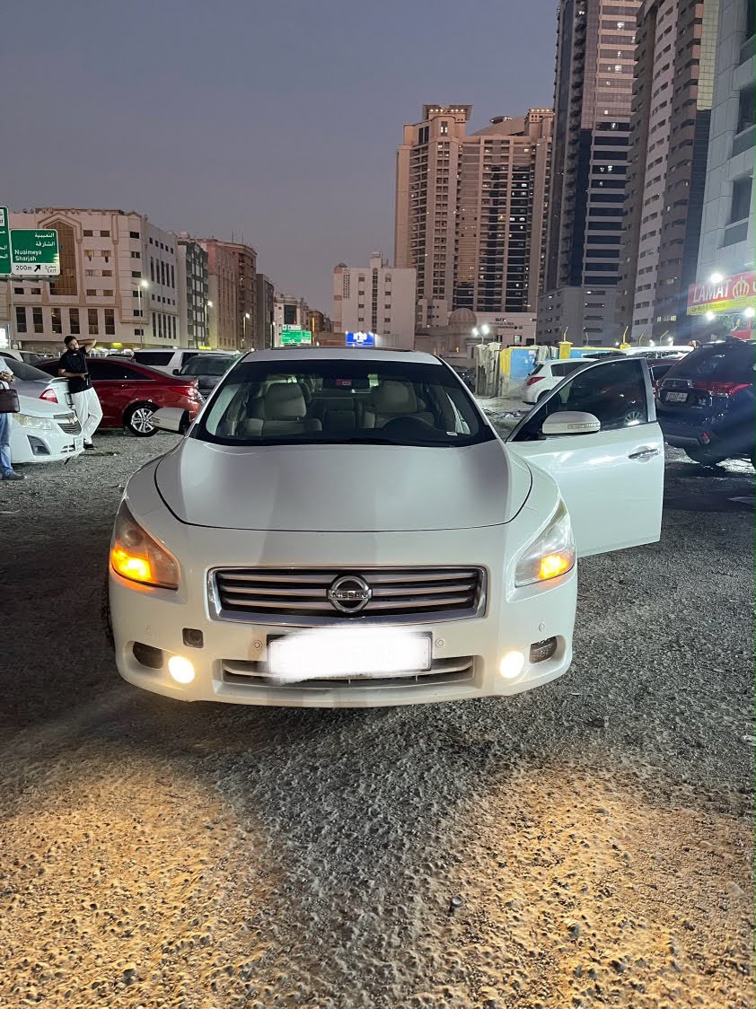 Белый Nissan Maxima 3.5 SV 2014 год