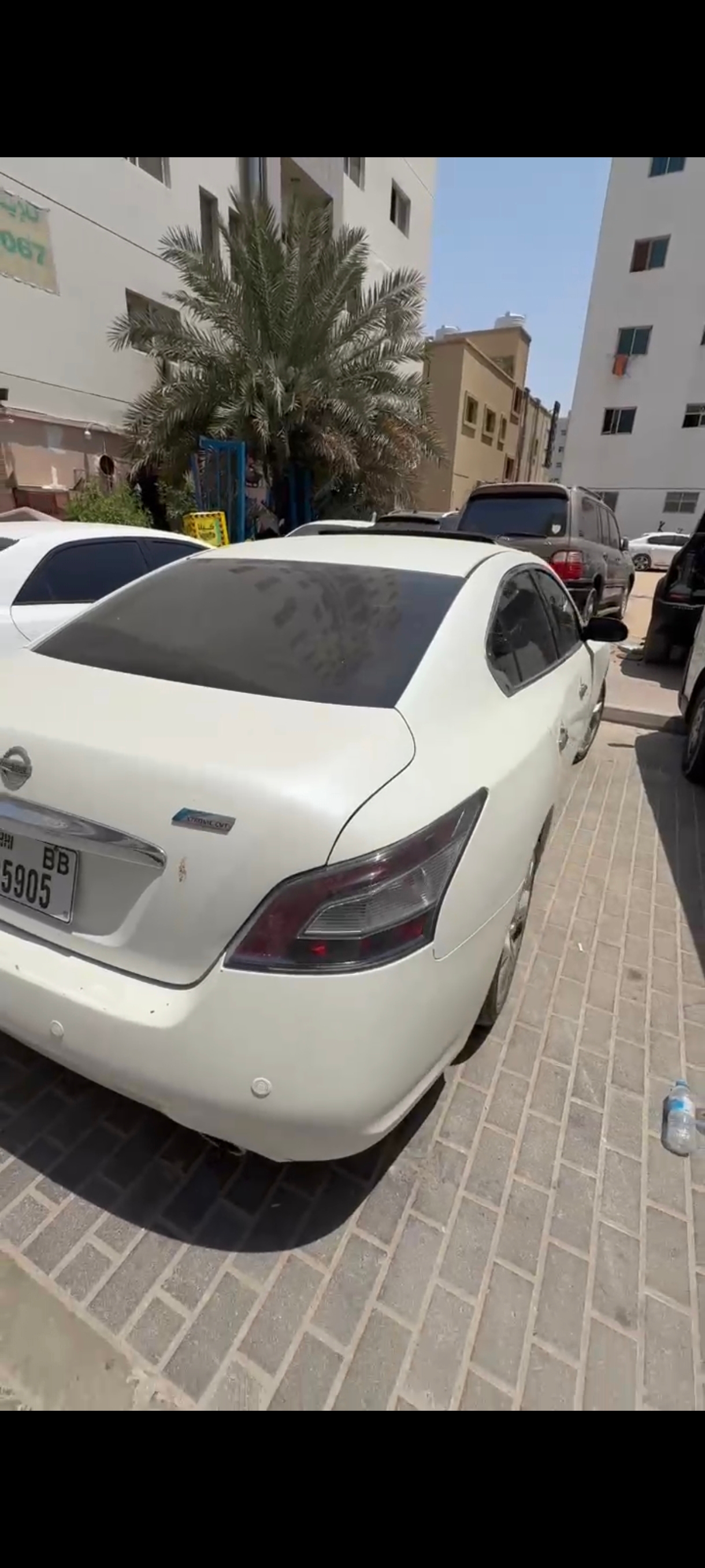 Белый Nissan Maxima 3.5 SV 2014 год
