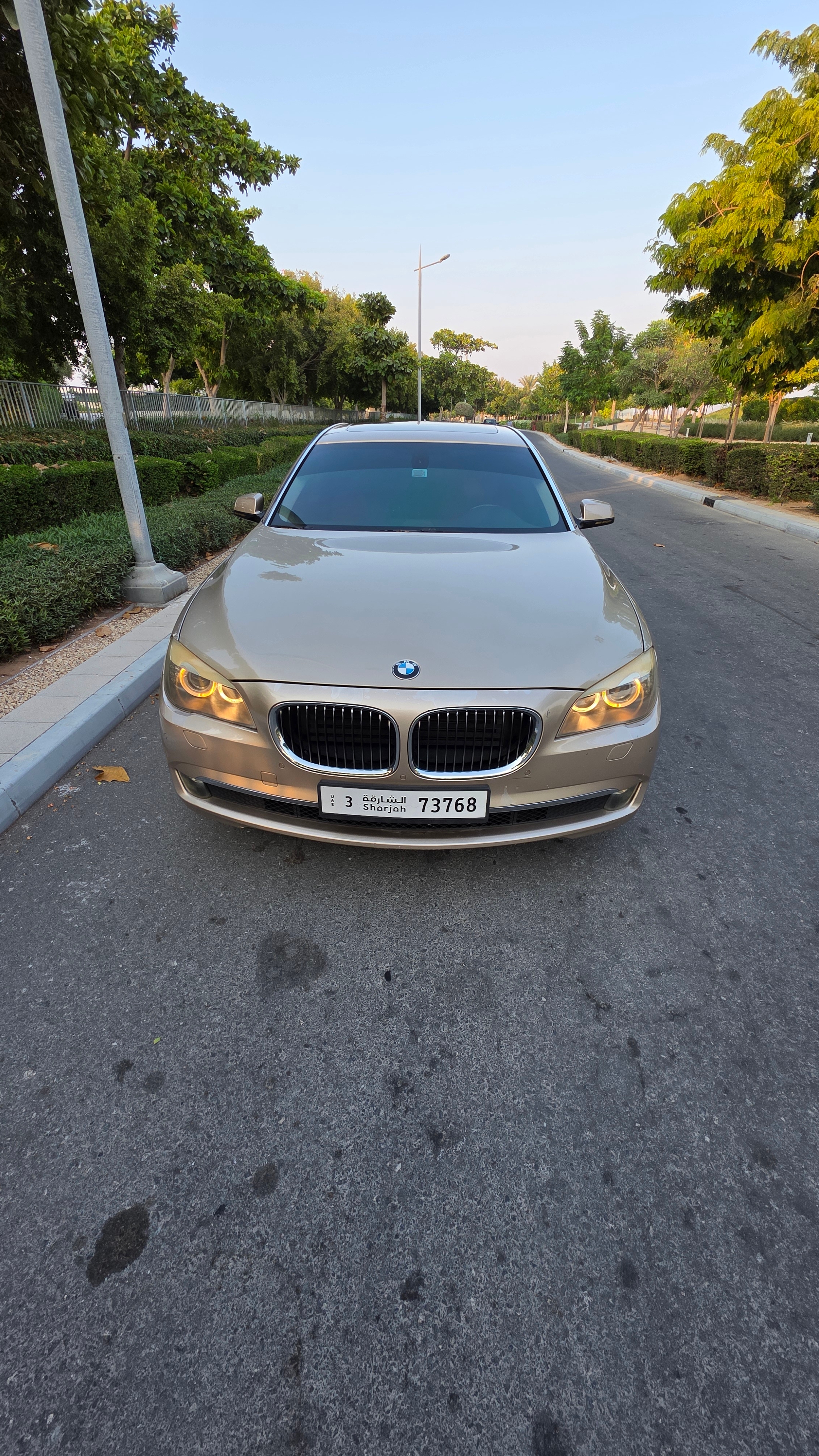 Oro BMW 730Li 2011