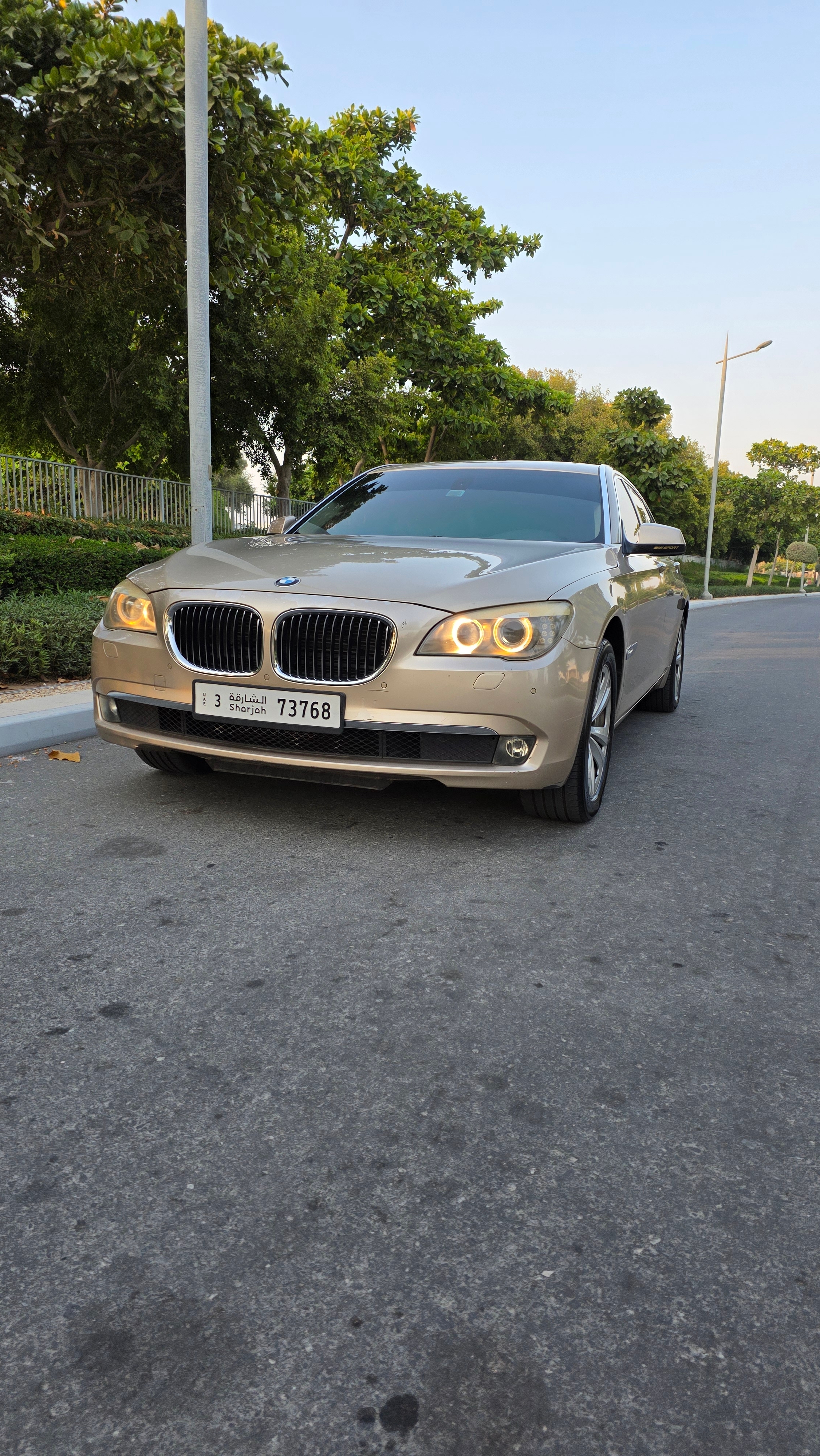 Gold BMW 730Li 2011