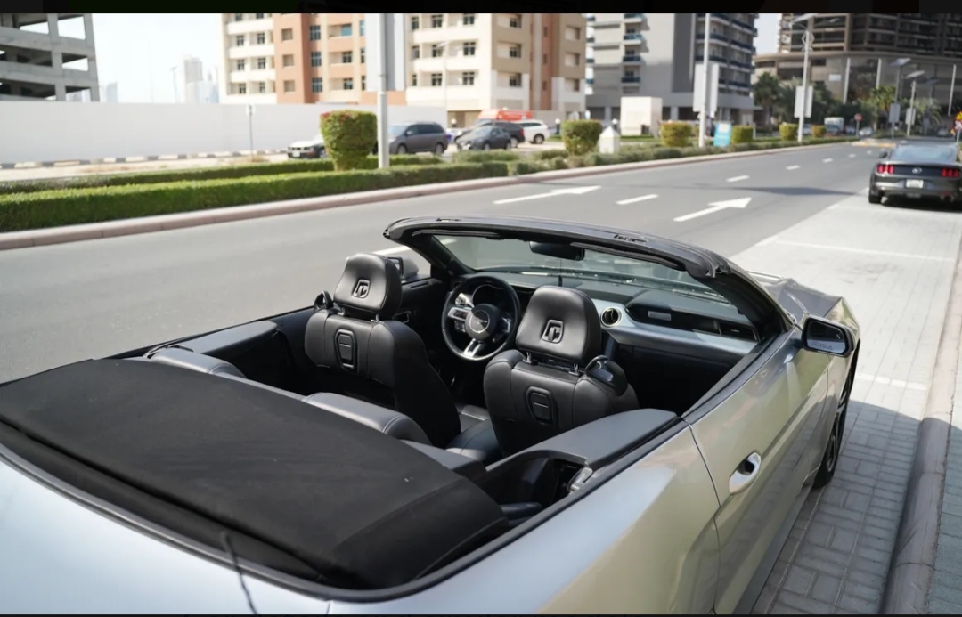 Серебро Ford Mustang EcoBoost Premium 2021 год