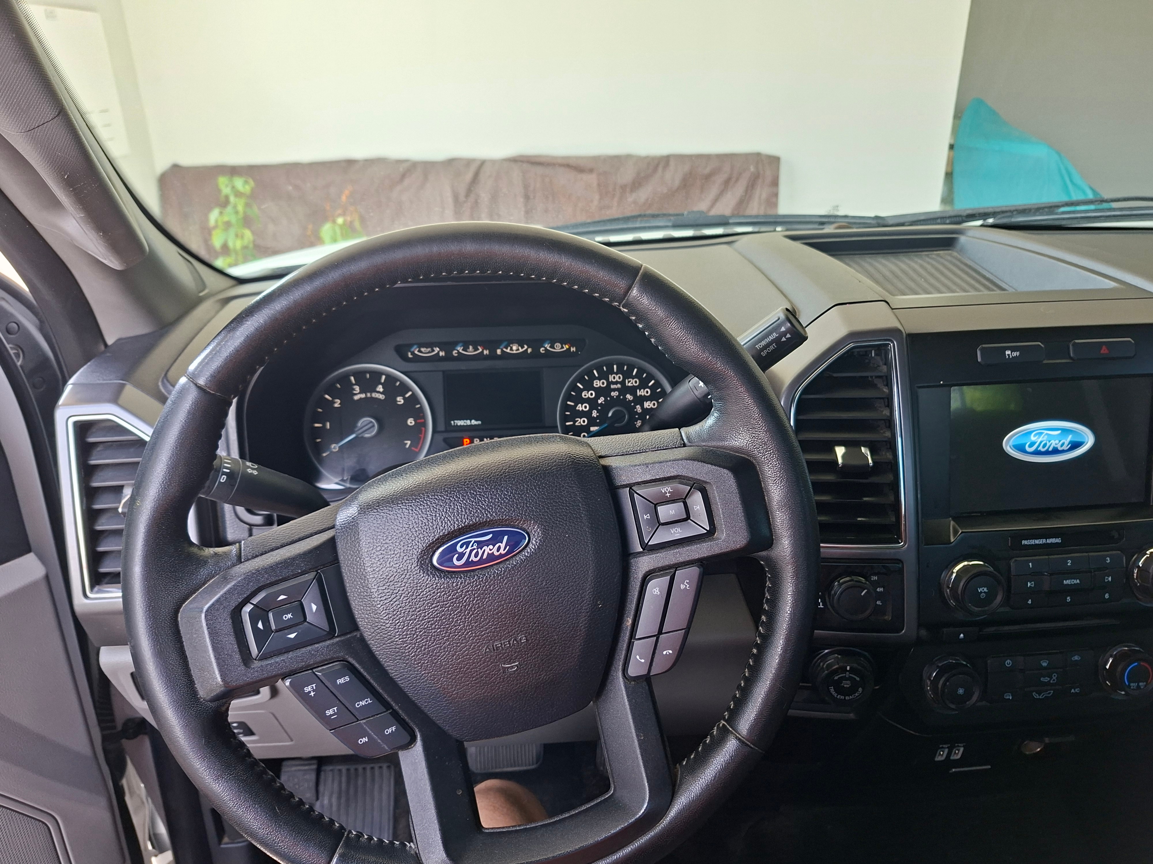 Blanco Ford F 150 2017