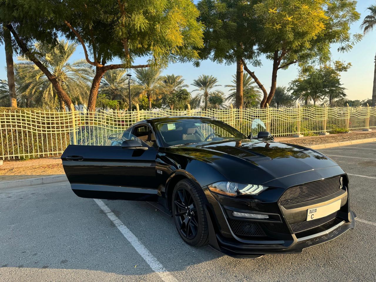 Noir Ford Mustang EcoBoost 2020