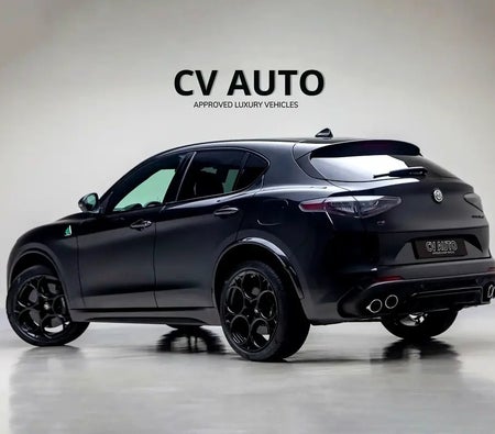 Alfa Romeo Stelvio Quadrifoglio 2025, photo 4 of 4