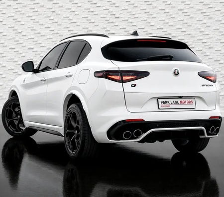Alfa Romeo Stelvio Quadrifoglio 2020, photo 3 of 4