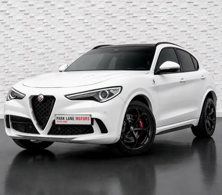 Alfa Romeo Stelvio Quadrifoglio 2020, photo 1 of 4