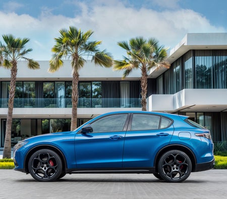 أزرق ألفا روميو      Stelvio Veloce 2024