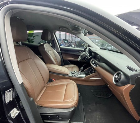 Schwarz Alfa Romeo Stilfserjoch 2018