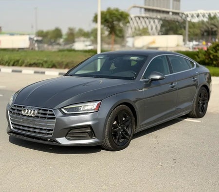 Grigio Audi A5 2019 Grigio Audi A5 2019