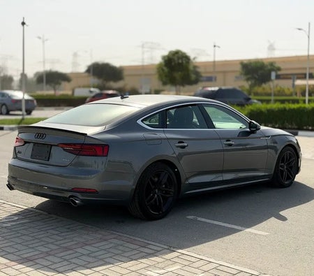 Grigio Audi A5 2019 Grigio Audi A5 2019