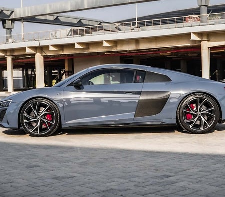 Gri Audi R8 Coupe V10 2022 Gri Audi R8 Coupe V10 2022