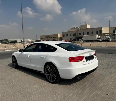 Bianca Audi  2016