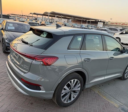 Audi Q4 2024, photo 3 of 4