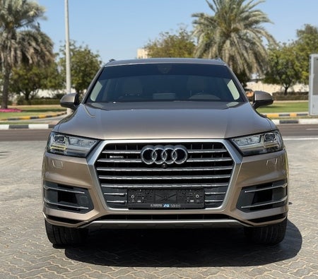 Audi Q7 45 TFSI Quattro 2019, photo 2 of 4