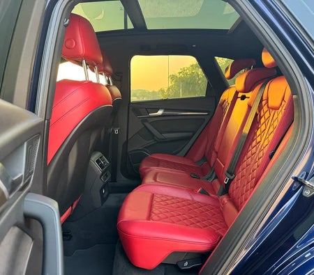 Audi SQ5 3.0 TFSI quattro 2018, photo 4 of 4