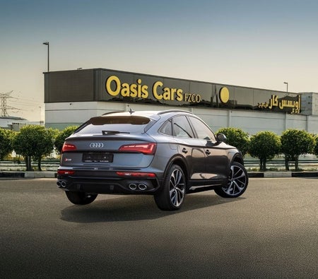 Audi SQ5 2024, photo 3 of 4