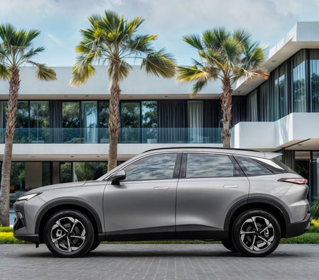 BAIC X55 Luxury 2024, photo 4 of 4