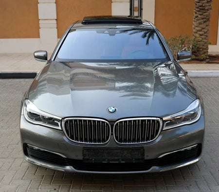 BMW 730Li  2019, photo 2 of 4
