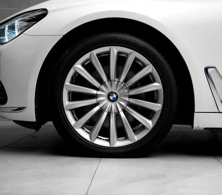 BMW 730Li 2018, photo 4 of 4