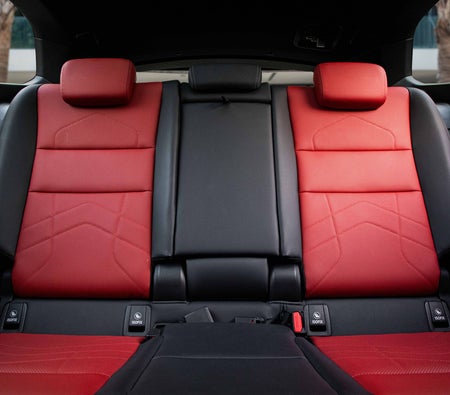 Gri BMW X1 2024 Gri BMW X1 2024
