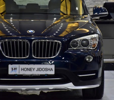 BMW X1 Sdrive18i 2015, photo 4 of 4