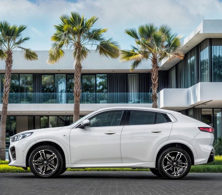 Weiß BMW X2 2024