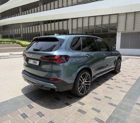 Mavi BMW X5 2024
