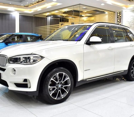 BMW X5 xDrive35i 2014, photo 2 of 4