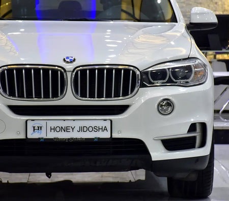 BMW X5 xDrive35i 2014, photo 4 of 4