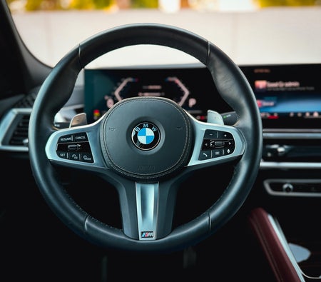 BMW X6 2025