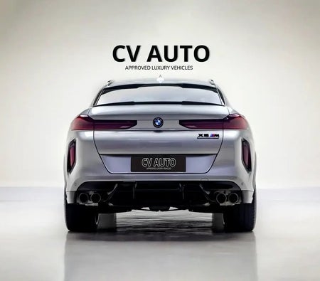 gris BMW X6 2021 gris BMW X6 2021