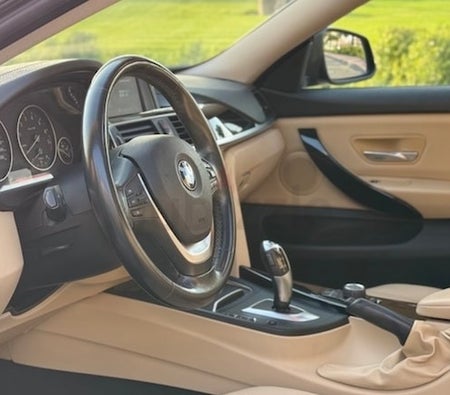 BMW 420i Gran Coupe 2019, photo 4 of 4