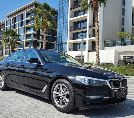 BMW 520i Exclusive 2019, photo 2 of 4