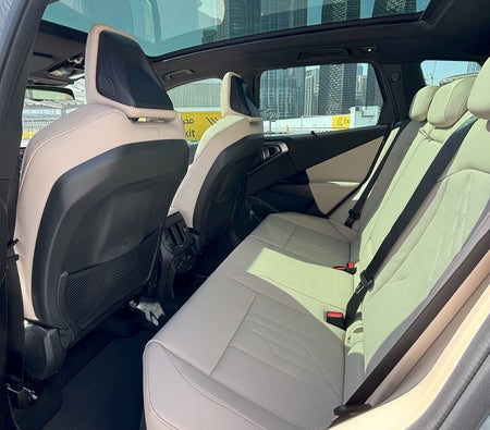 Dunkelgrau BMW X3 2026