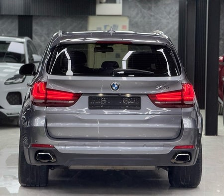 Silver BMW X5 V8 2014