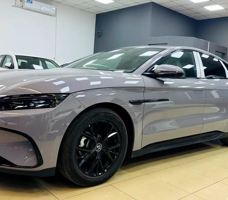 Gray BYD HAN Flagship Edition 2025