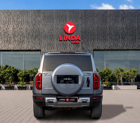 BYD Leopard 5 Flagship 2025, photo 4 of 4