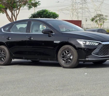 BYD QIN Plus 2026, photo 1 of 4