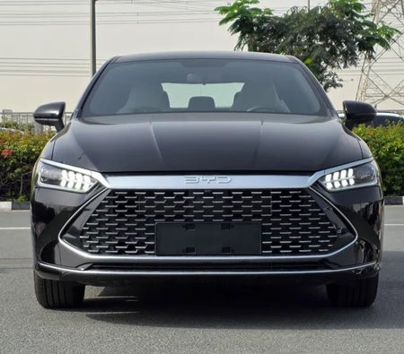 BYD QIN Plus 2026, photo 3 of 4